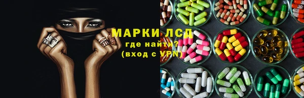 крисы Богородицк