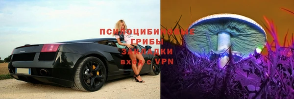 крисы Богородицк