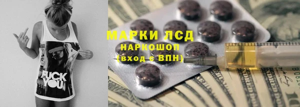 крисы Богородицк