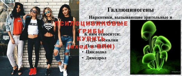бутират Белокуриха