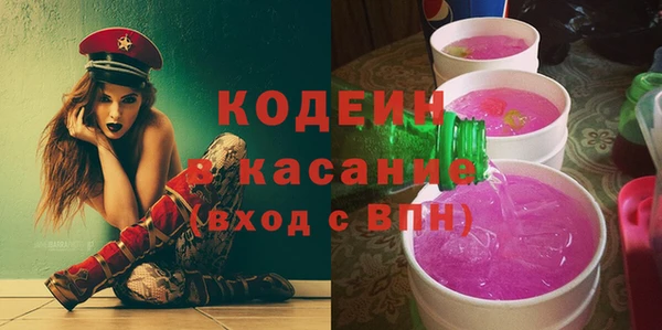 крисы Богородицк