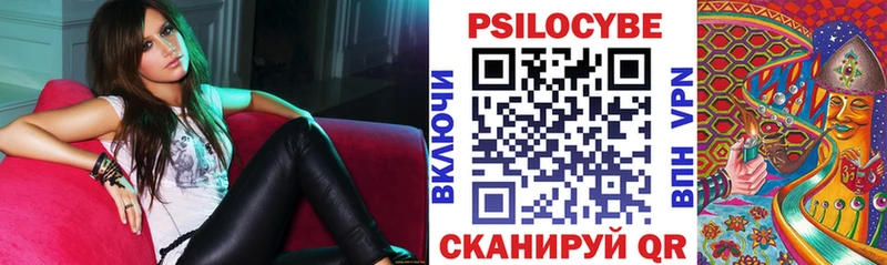 дарк нет как зайти  Венёв  Псилоцибиновые грибы Psilocybine cubensis 